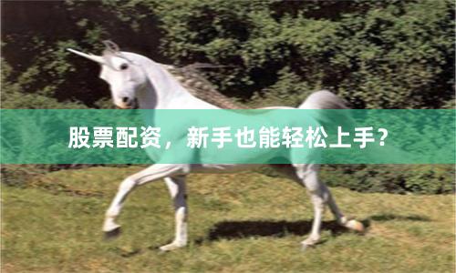 股票配资，新手也能轻松上手？