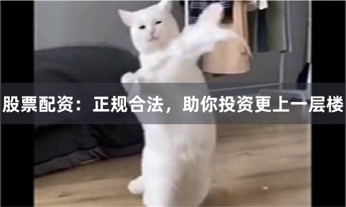 股票配资：正规合法，助你投资更上一层楼